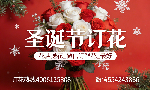 玉林博白县花店送花_微信订鲜花_圣诞节订花_最好? 玉林博白县花店